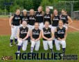 Tigerlillies 14u